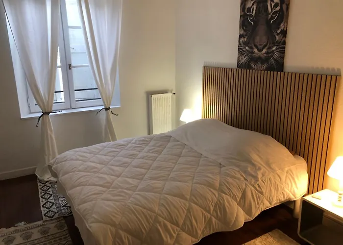 Appart Hotel Le Victor Hugo 2 G Et Sa Pizza Offerte