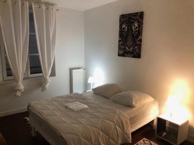 Appartement Le Victor Hugo 2 G Et Sa Pizza Offerte Aurillac